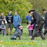 Den svatého Huberta v Milevsku přilákal stovky lidí