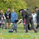 Den svatého Huberta v Milevsku přilákal stovky lidí