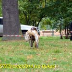 Den svatého Huberta v Milevsku přilákal stovky lidí