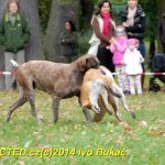 Den svatého Huberta v Milevsku přilákal stovky lidí