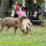 Den svatého Huberta v Milevsku přilákal stovky lidí