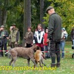 Den svatého Huberta v Milevsku přilákal stovky lidí
