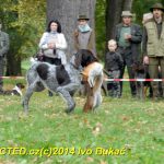 Den svatého Huberta v Milevsku přilákal stovky lidí