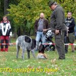 Den svatého Huberta v Milevsku přilákal stovky lidí