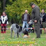 Den svatého Huberta v Milevsku přilákal stovky lidí