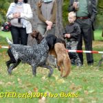 Den svatého Huberta v Milevsku přilákal stovky lidí