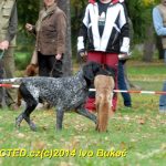 Den svatého Huberta v Milevsku přilákal stovky lidí