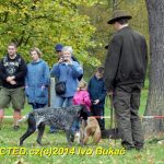 Den svatého Huberta v Milevsku přilákal stovky lidí