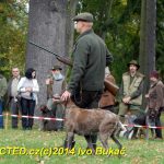 Den svatého Huberta v Milevsku přilákal stovky lidí