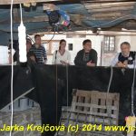 Studna vydává svá tajemství