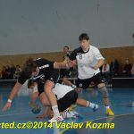 Házenkáři Sezimova Ústí – nejvíc sedmiček a nejvíc trestů