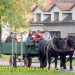 Hubertova jízda se v Zálší jezdí už dvacet let