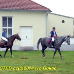 Hubertova jízda se v Zálší jezdí už dvacet let