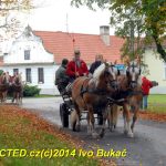 Hubertova jízda se v Zálší jezdí už dvacet let