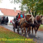 Hubertova jízda se v Zálší jezdí už dvacet let