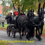 Hubertova jízda se v Zálší jezdí už dvacet let