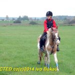 Hubertova jízda se v Zálší jezdí už dvacet let
