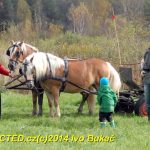Hubertova jízda se v Zálší jezdí už dvacet let