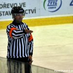 Hokej: Božetice inkasovaly sedm branek za třetinu