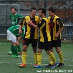 Výkon jako z partesu! Milevsko – Český Krumlov 5:2
