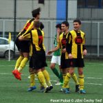 Výkon jako z partesu! Milevsko – Český Krumlov 5:2