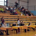 Gymnastky v Milevsku opět roztančily své náčiní