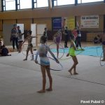 Gymnastky v Milevsku opět roztančily své náčiní