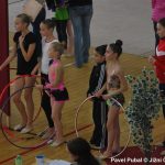 Gymnastky v Milevsku opět roztančily své náčiní