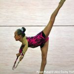 Gymnastky v Milevsku opět roztančily své náčiní
