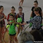 Gymnastky v Milevsku opět roztančily své náčiní