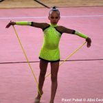 Gymnastky v Milevsku opět roztančily své náčiní