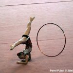 Gymnastky v Milevsku opět roztančily své náčiní