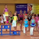 Gymnastky v Milevsku opět roztančily své náčiní