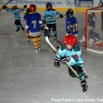 Hokej – mládež: Milevští benjamínci letošní premiéru zvládli