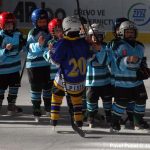 Hokej – mládež: Milevští benjamínci letošní premiéru zvládli