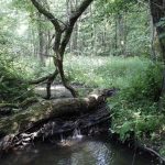 Krajský úřad zaregistroval Rudolfovský lom jako významný krajinný prvek