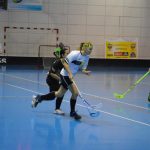 Ženský florbal: Domeček se otřásl v základech
