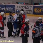 Hokej: Táborští Kohouti s přehledem přehráli Děčín