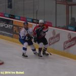 Hokej: Táborští Kohouti s přehledem přehráli Děčín