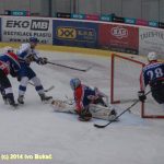 Hokej: Táborští Kohouti s přehledem přehráli Děčín