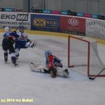 Hokej: Táborští Kohouti s přehledem přehráli Děčín