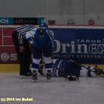 Hokej: Táborští Kohouti s přehledem přehráli Děčín