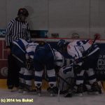 Hokej: Táborští Kohouti s přehledem přehráli Děčín