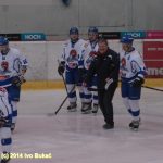 Hokej: Táborští Kohouti s přehledem přehráli Děčín