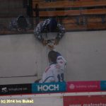 Hokej: Táborští Kohouti s přehledem přehráli Děčín