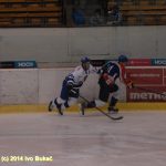 Hokej: Táborští Kohouti s přehledem přehráli Děčín