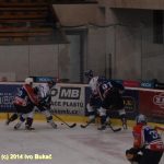 Hokej: Táborští Kohouti s přehledem přehráli Děčín