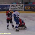 Hokej: Táborští Kohouti s přehledem přehráli Děčín