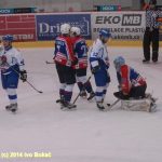 Hokej: Táborští Kohouti s přehledem přehráli Děčín