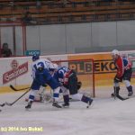 Hokej: Táborští Kohouti s přehledem přehráli Děčín